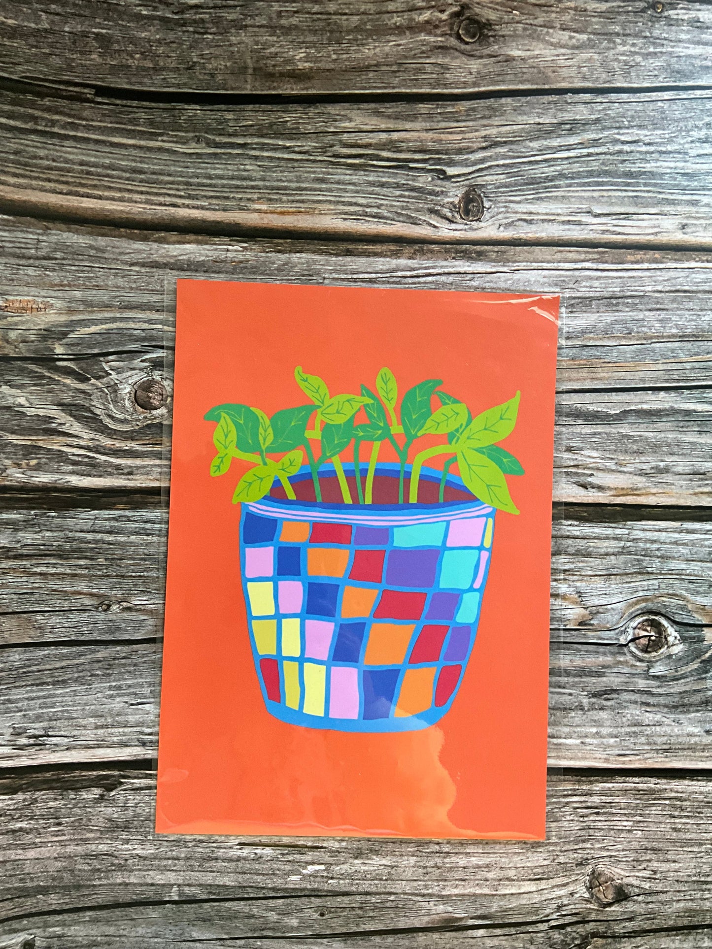 Colourful houseplant art print on an orange background.