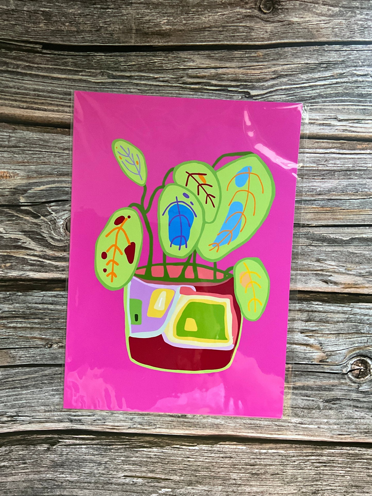 Colourful abstract pot plant art print featuring a leafy houseplant in a multi-coloured pot on a bright pink background.