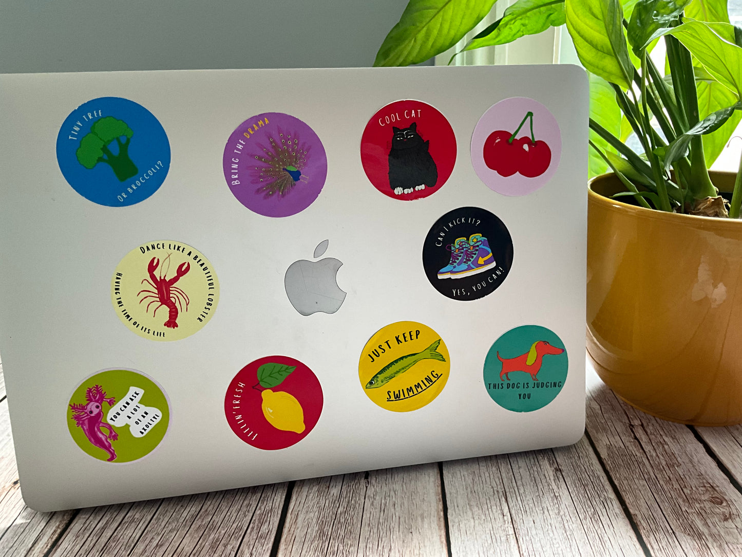 Laptop with colorful stickers on a wooden surface next to a plant