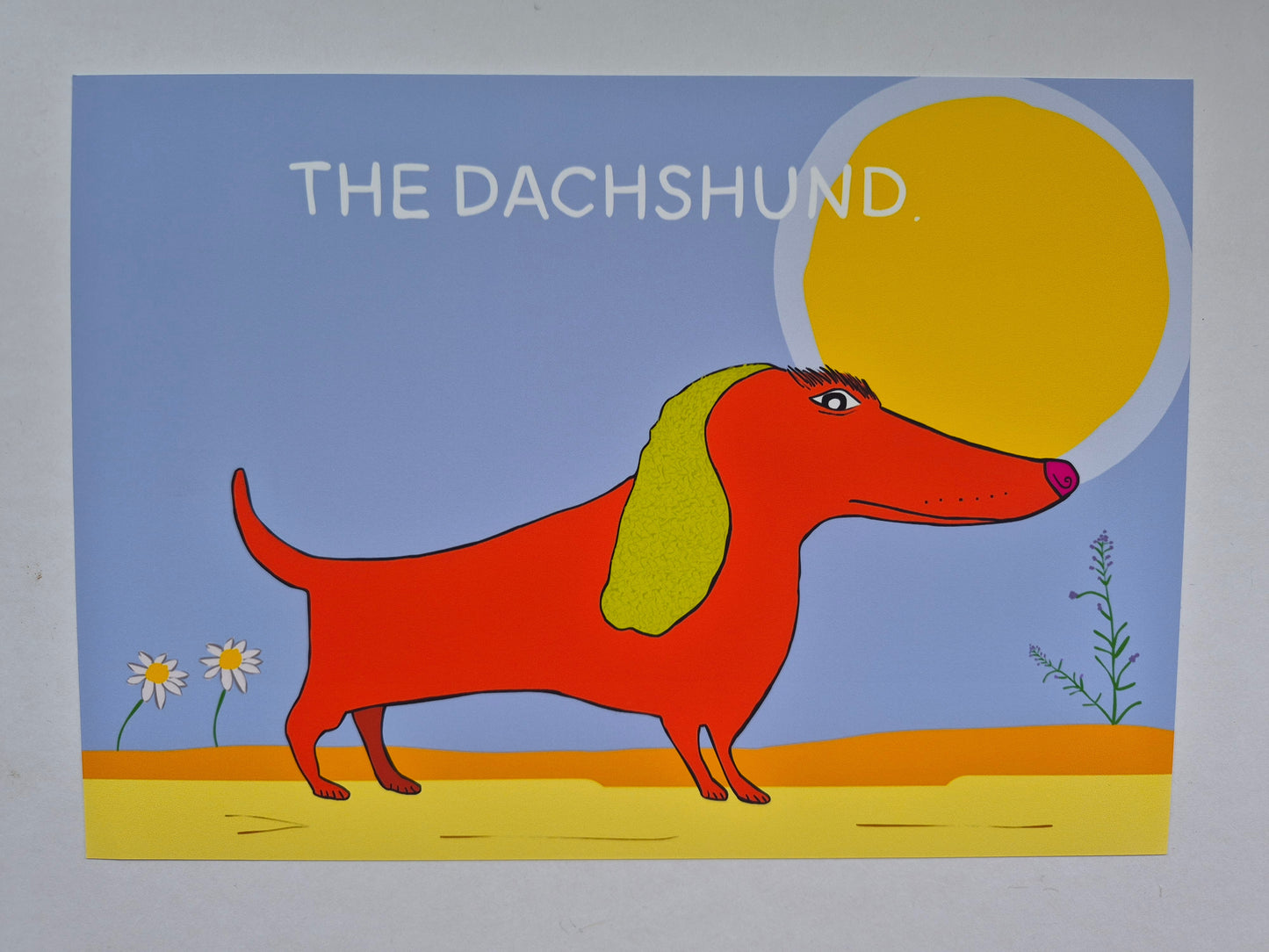 Hand drawn dachshund print. The illustrated sausage dog is orange with a blue background with a big sun and wildflowers. Test reads THE DACHSHUND.  A fun dachshund print. 
