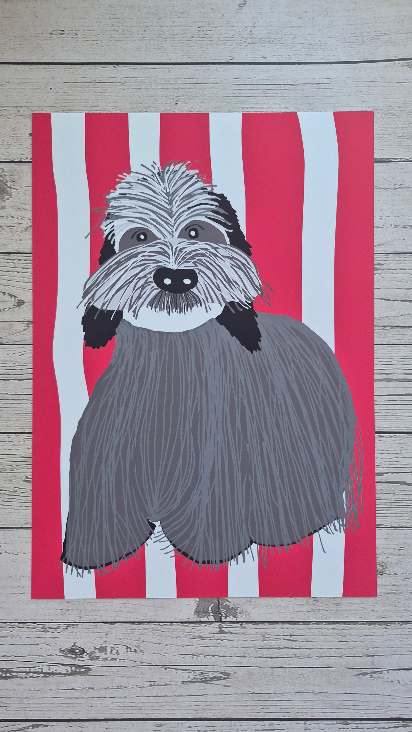 Sheepdog Wall Art print