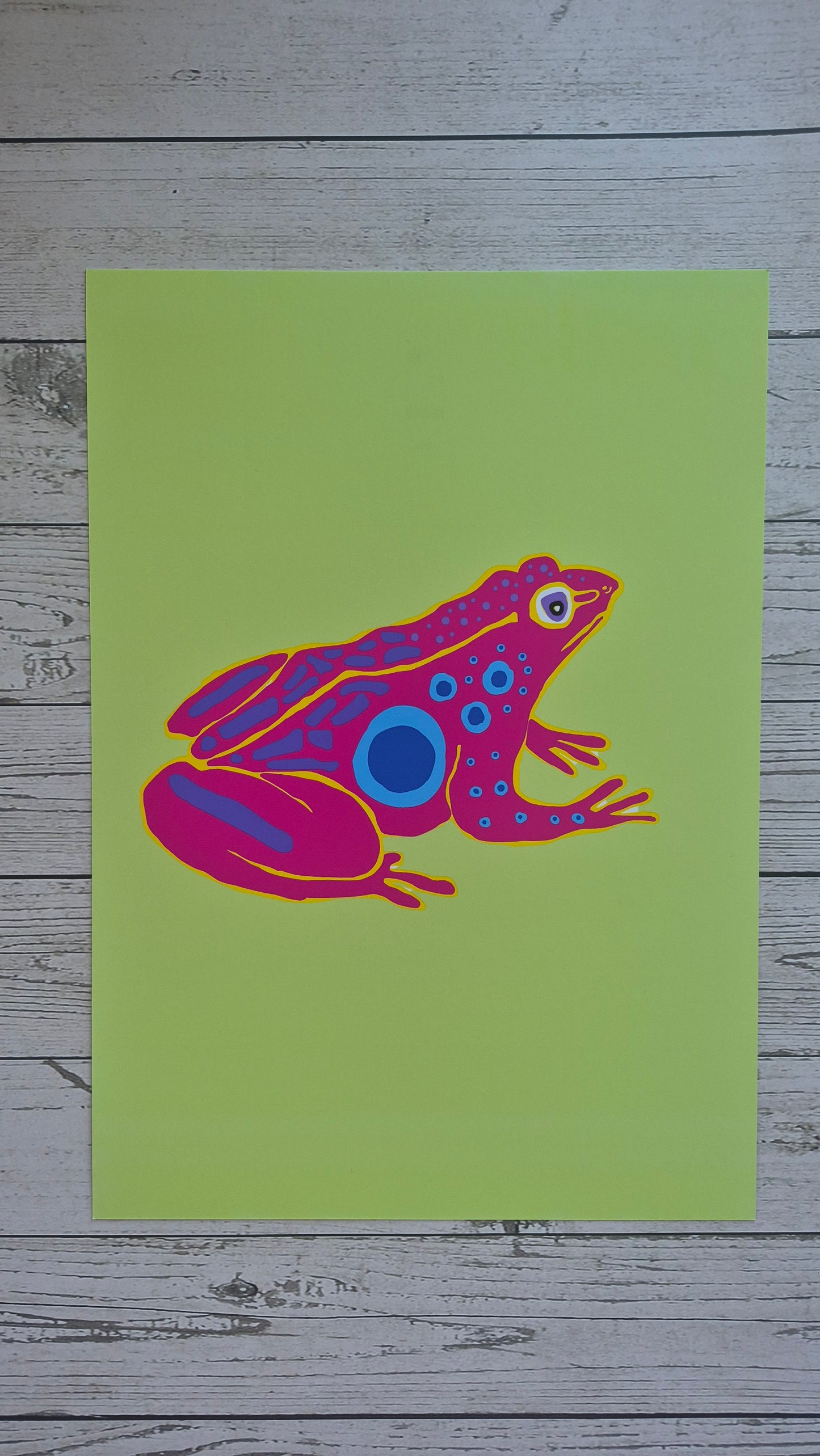 Frog wall art prints - colourful frog illustraction