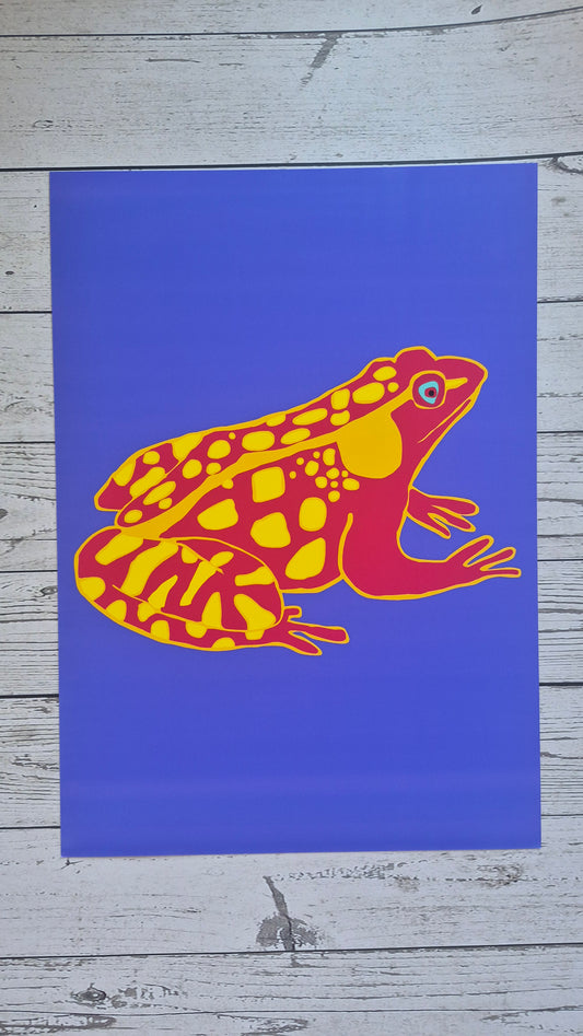 Frog wall art prints - colourful frog illustraction