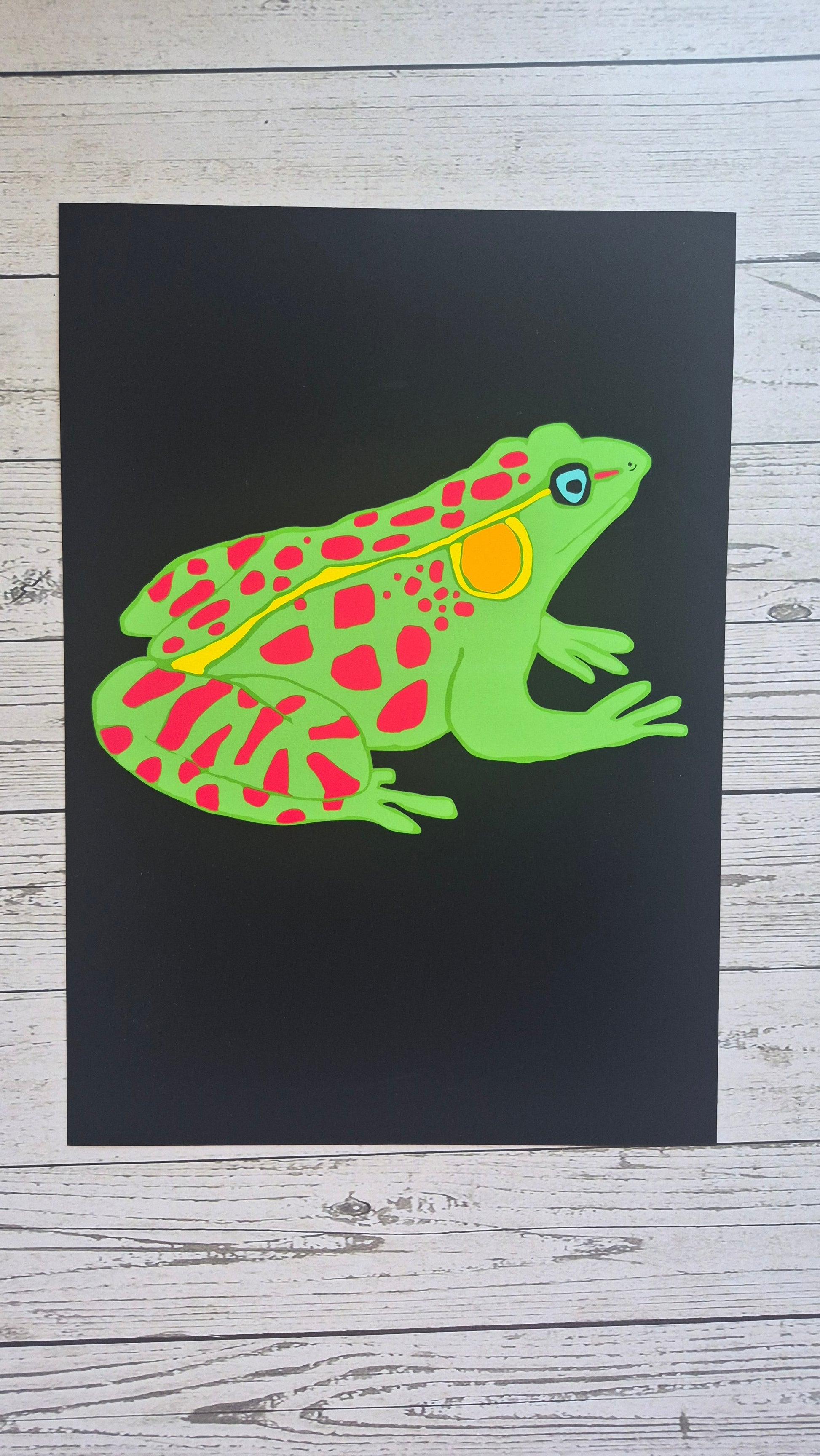 Colorful  green and red frog illustration on a black background