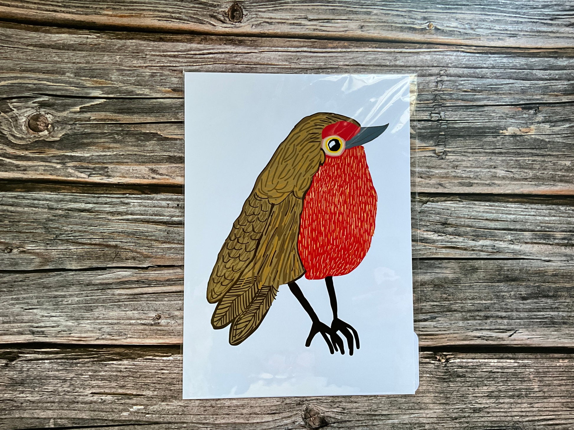 Illustration of a robin on a white fine art card against a wooden background