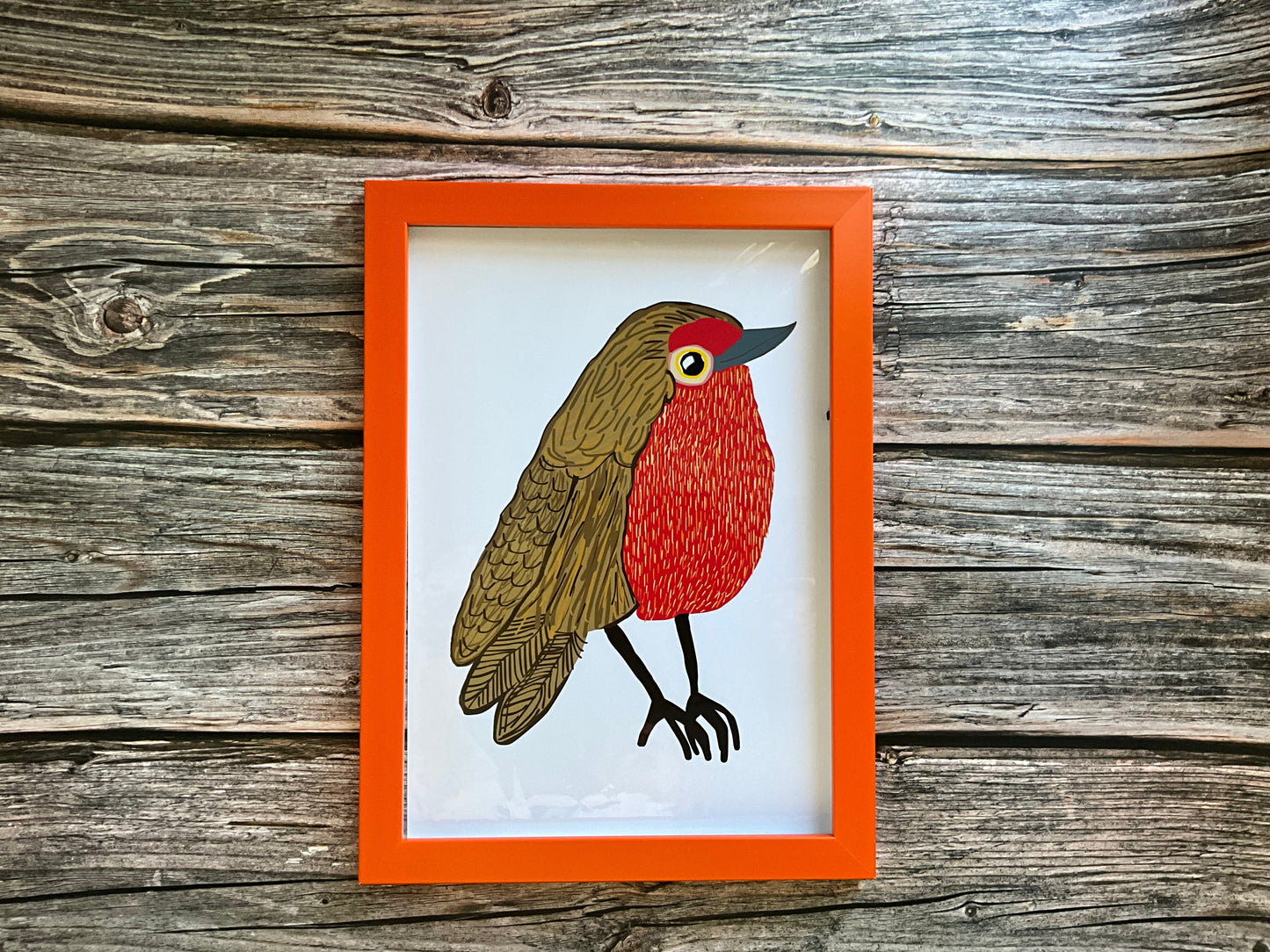 Framed illustration of a Robin on a crisp white background. The frame itself is placed on a wooden background