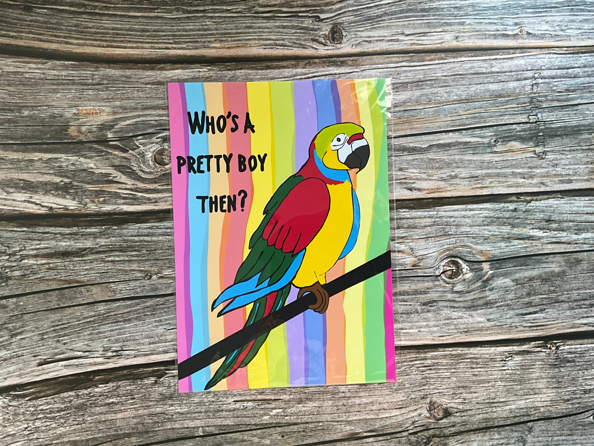 Parrot art print with ‘who’s a pretty boy then?’ Text on a rainbow striped background. The card is resting on a wooden background. 