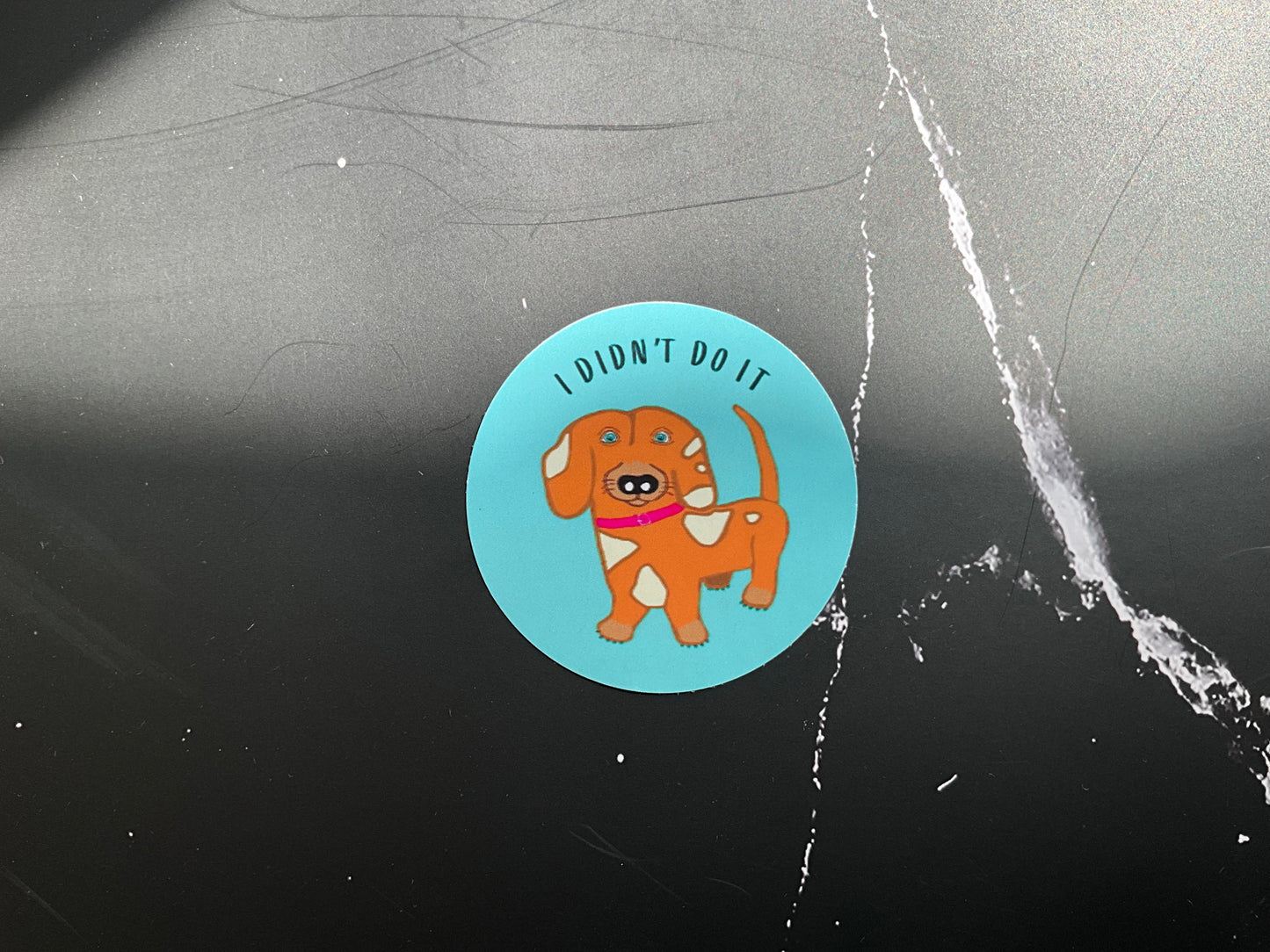 Round blue vinyl sticker with a sausage dog and the words ‘I didn’t do it’