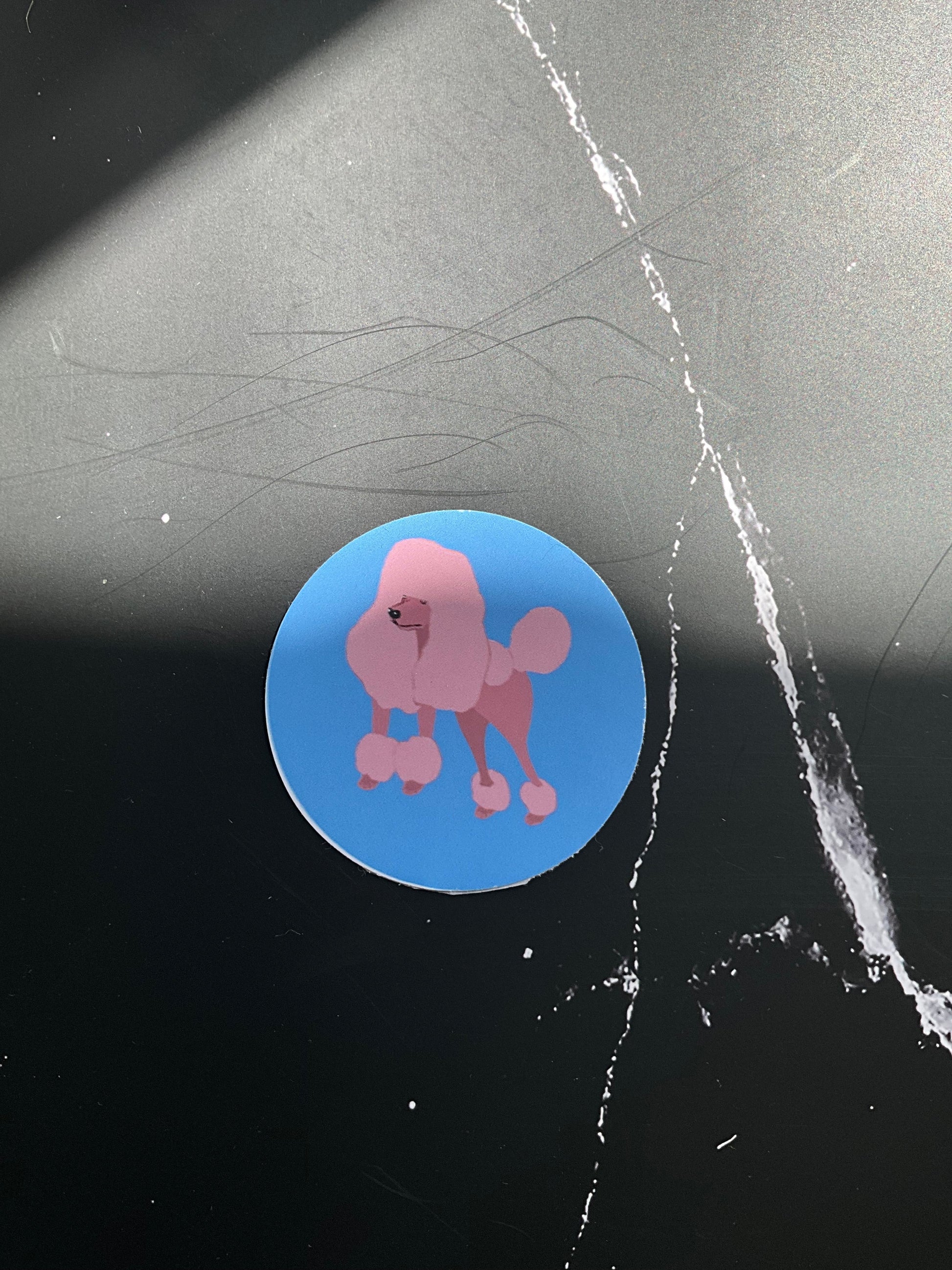 Pink illustrated poodle vinyl sticker on a blue background