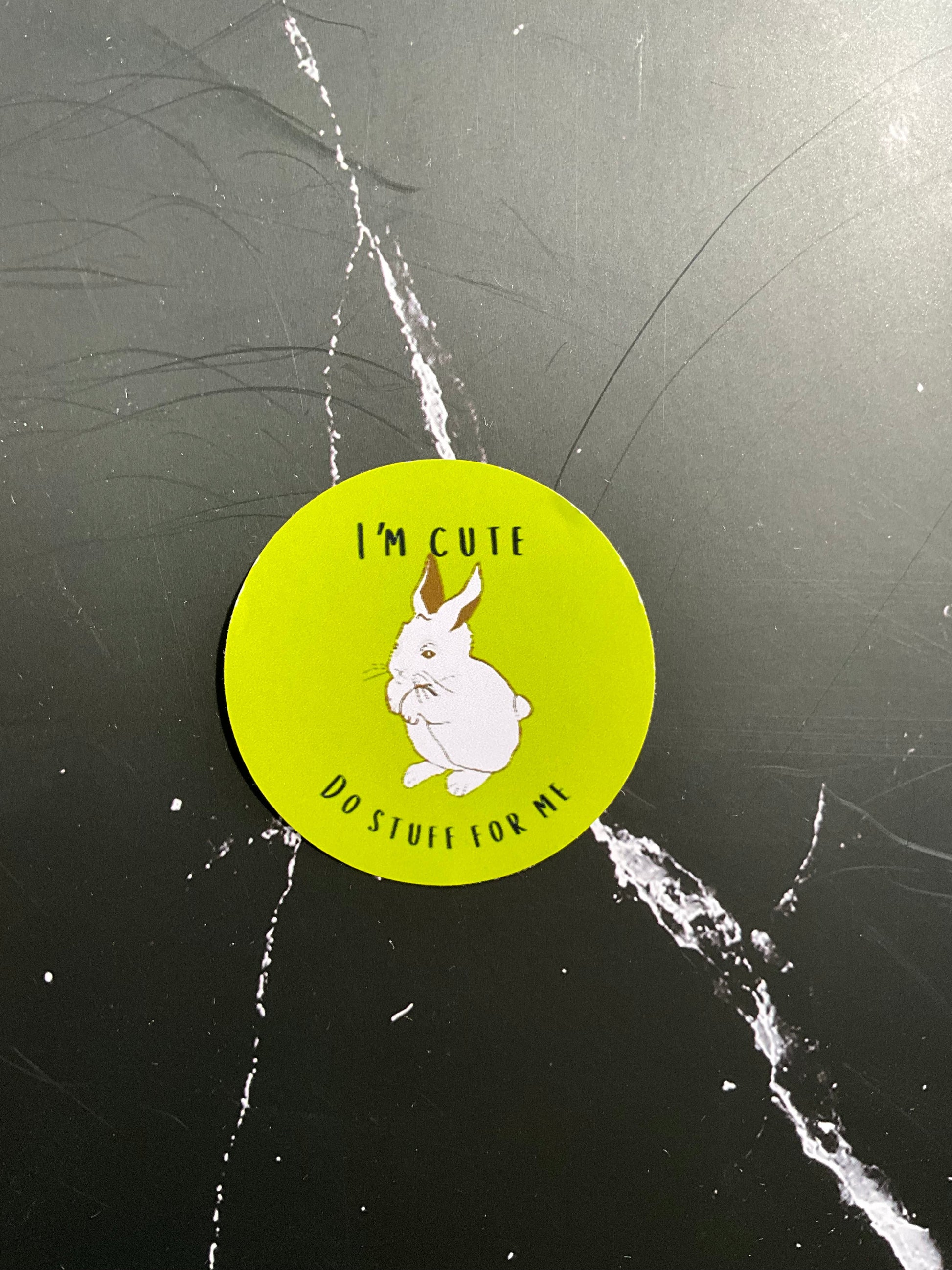 Lime green vinyl sticker featuring a white bunny and the text, I’m cute, do stuff for me. 