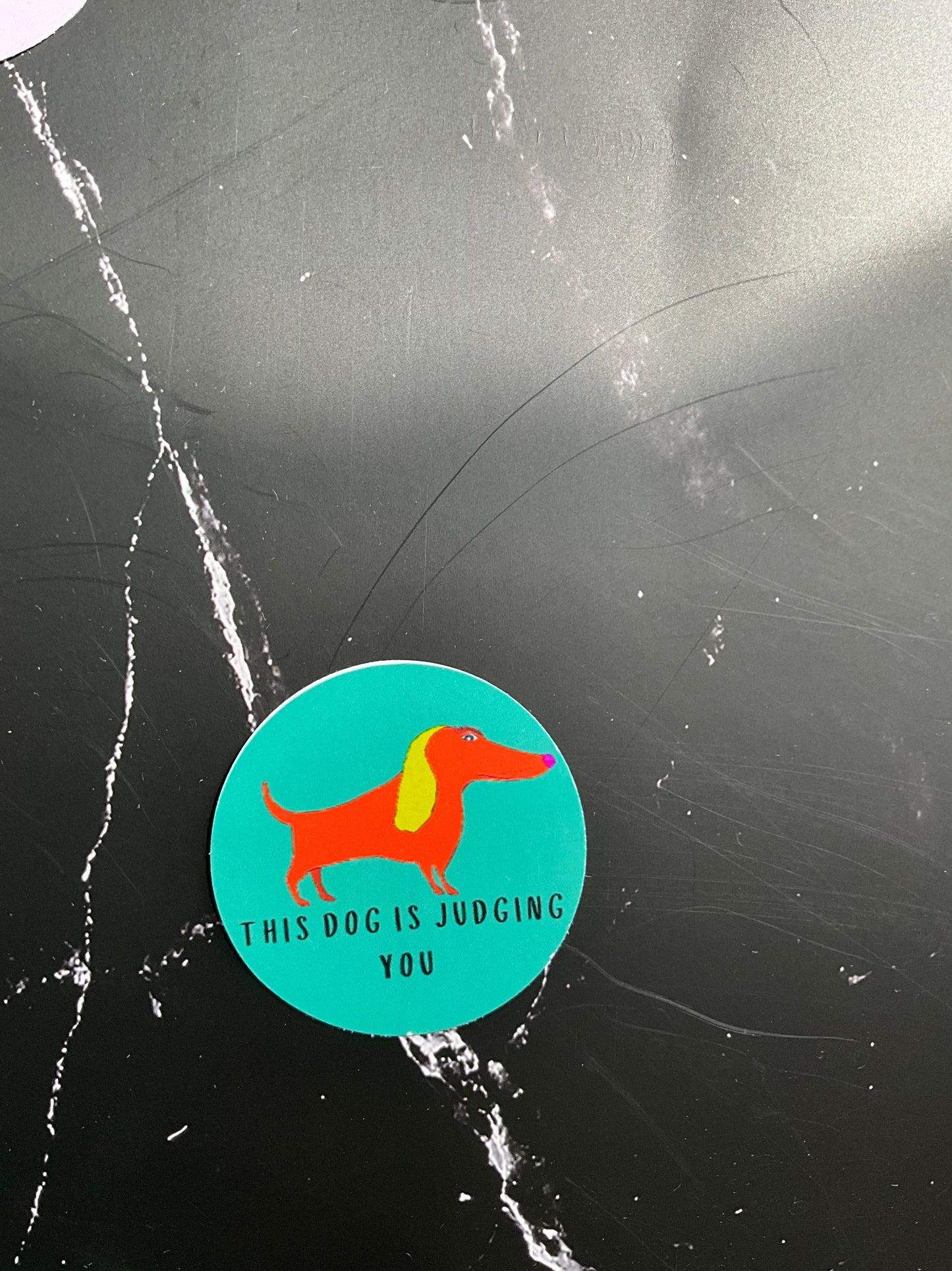 “This dog is judging you” - judgy sausage dog vinyl sticker 5cm x 5xm