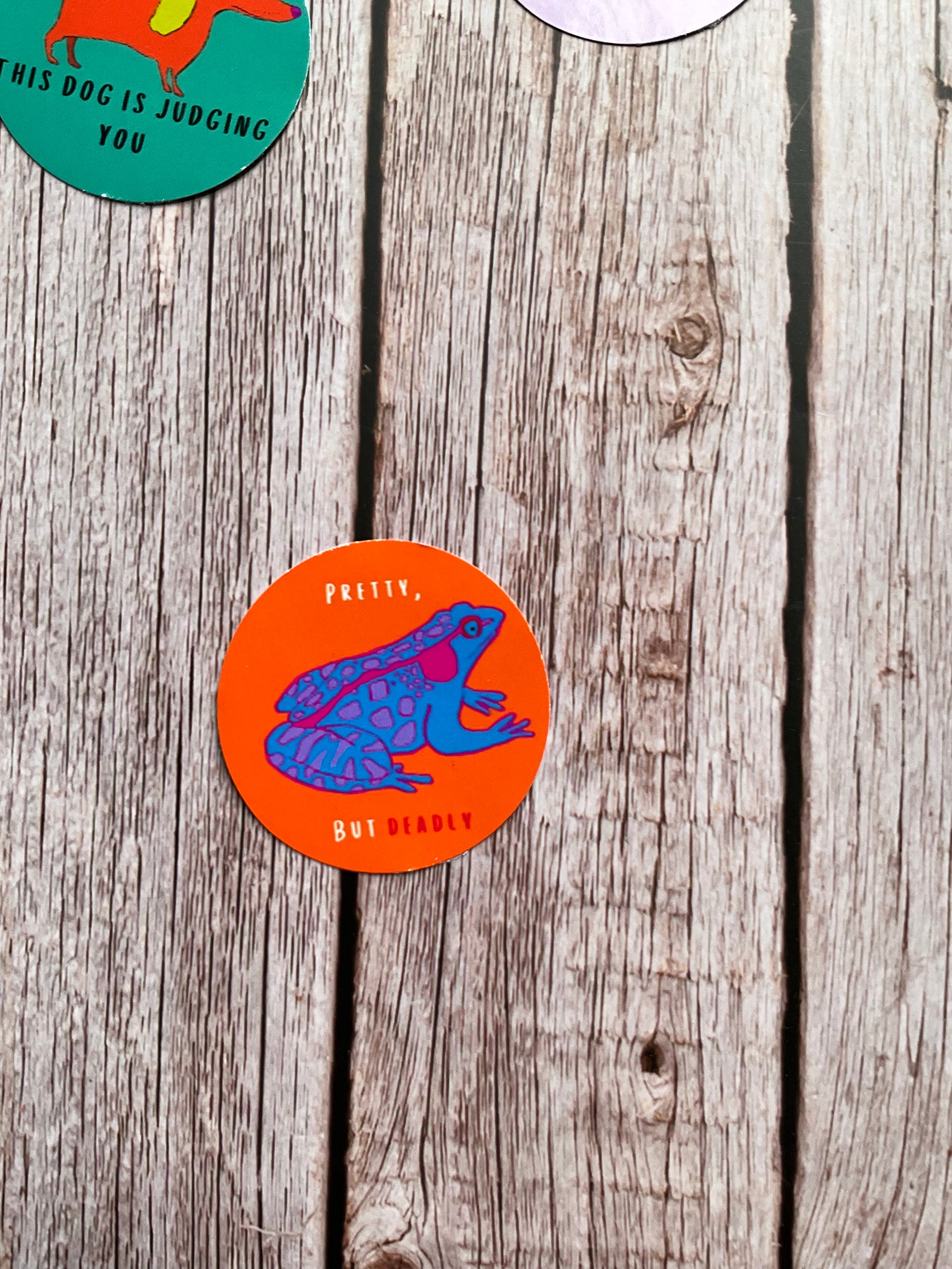 Orange round vinyl sticker featuring a purple and pink frog and the words ‘pretty but deadly’