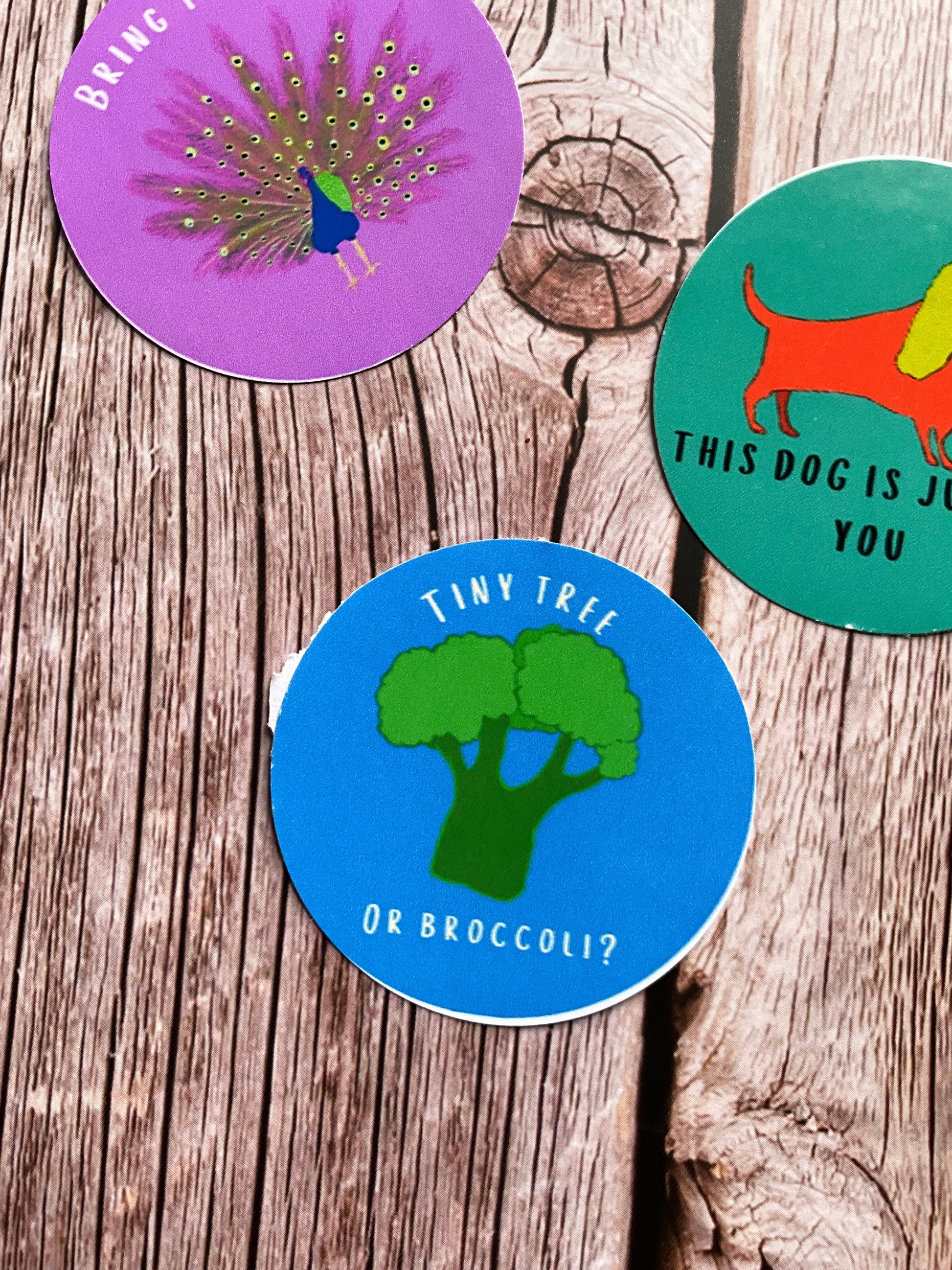 Blue round vinyl  sticker -  an illustration of broccoli +  words ‘tiny tree or broccoli? Placed on a wooden table.