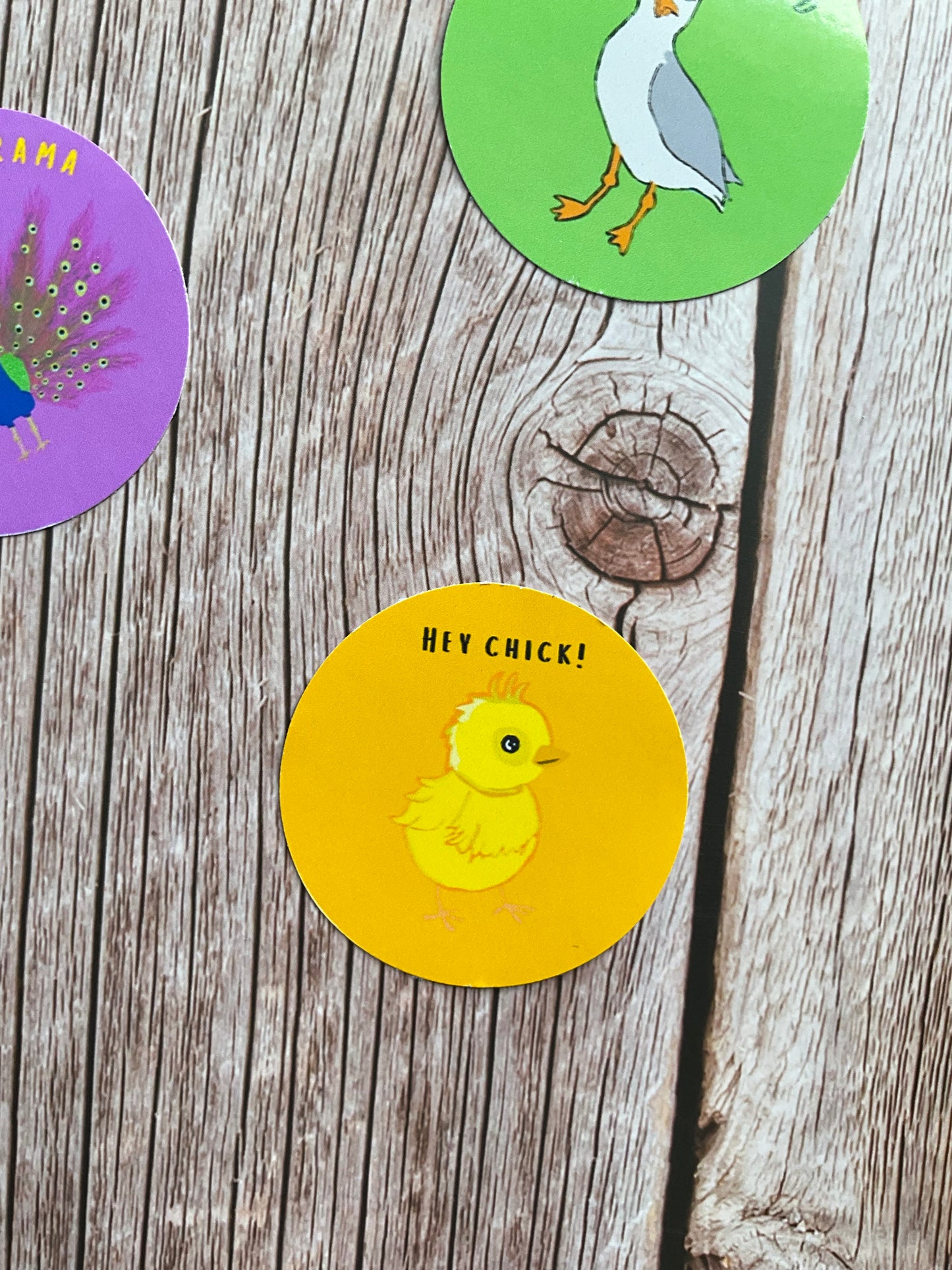 Yellow circular vinyl sticker featuring a cute chick illustration and the words ‘HEY CHICK!’ In black letters On a wooden table