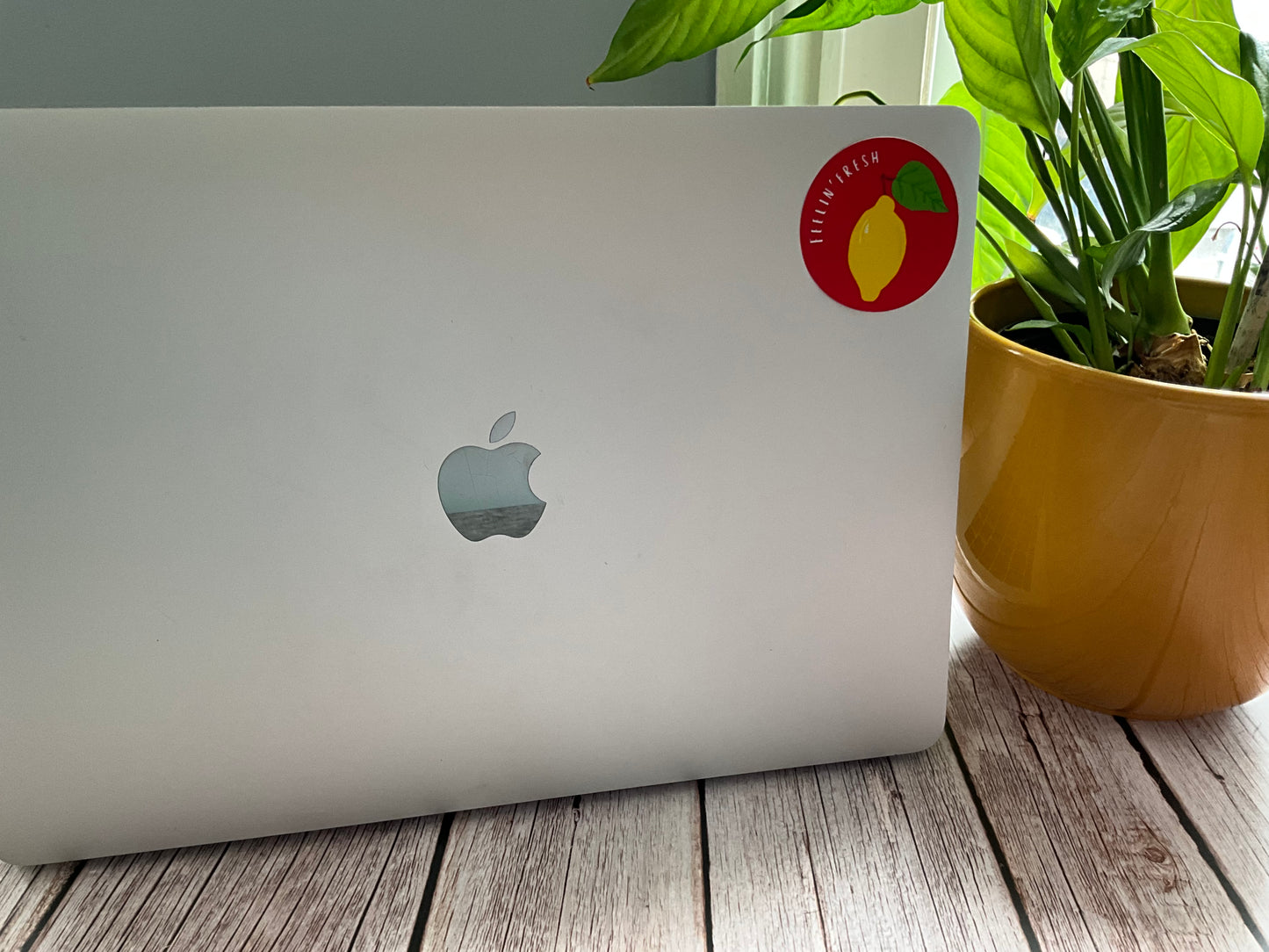 Silver laptop with a red lemon vinyl sticker on a wooden surface next to a potted plant