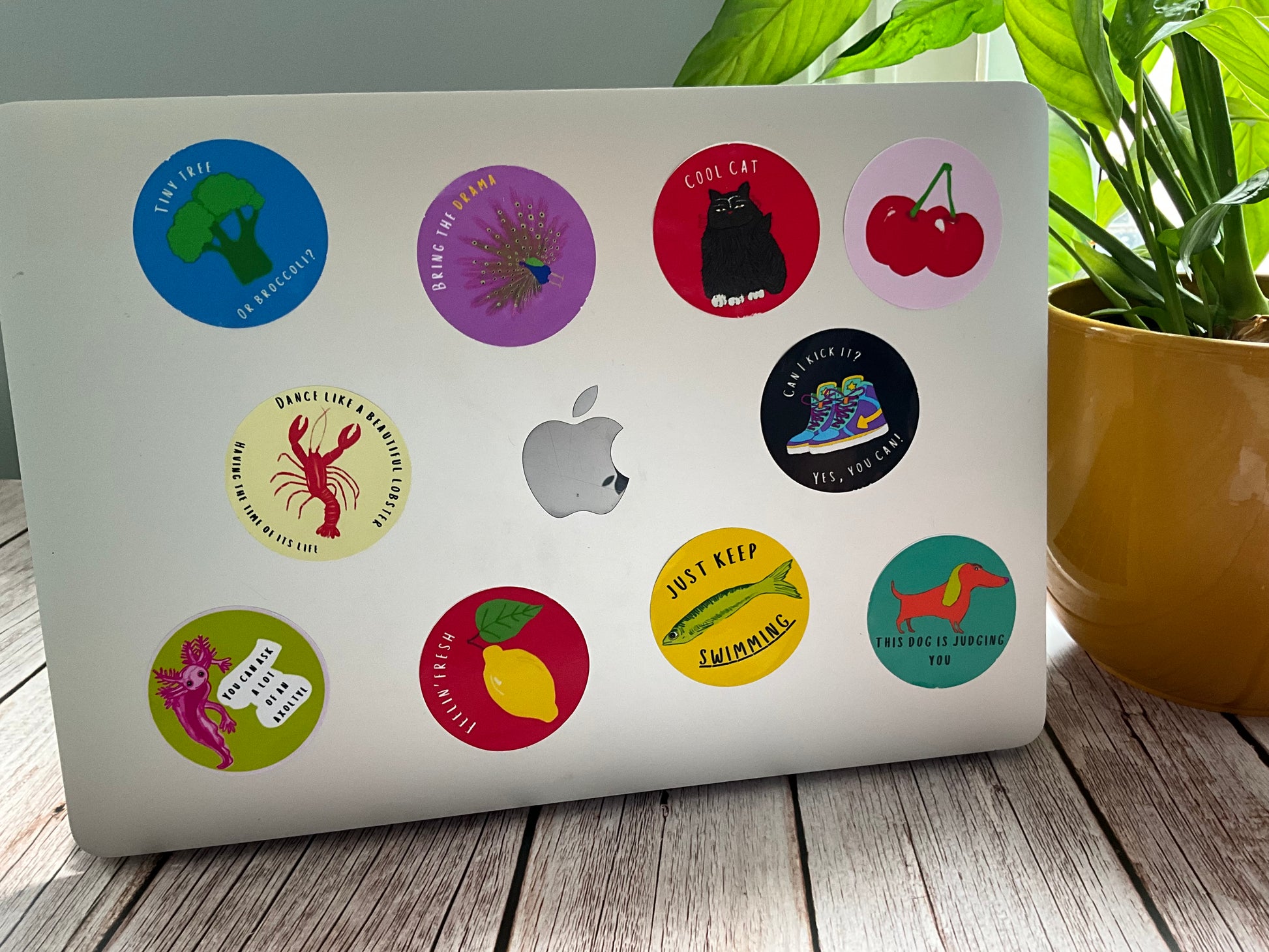 Laptop with various colorful stickers on a wooden surface with a plant in the background