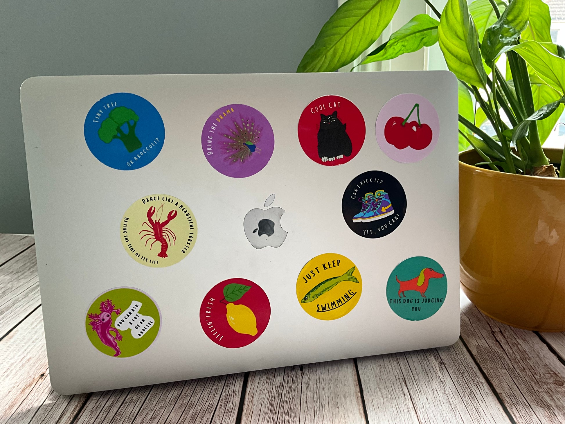 Laptop with various round, vibrant vinyl stickers on a wooden surface with a plant in the background