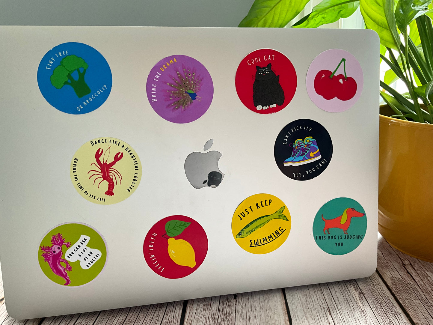 Laptop with various colorful stickers on a wooden surface with a plant in the background