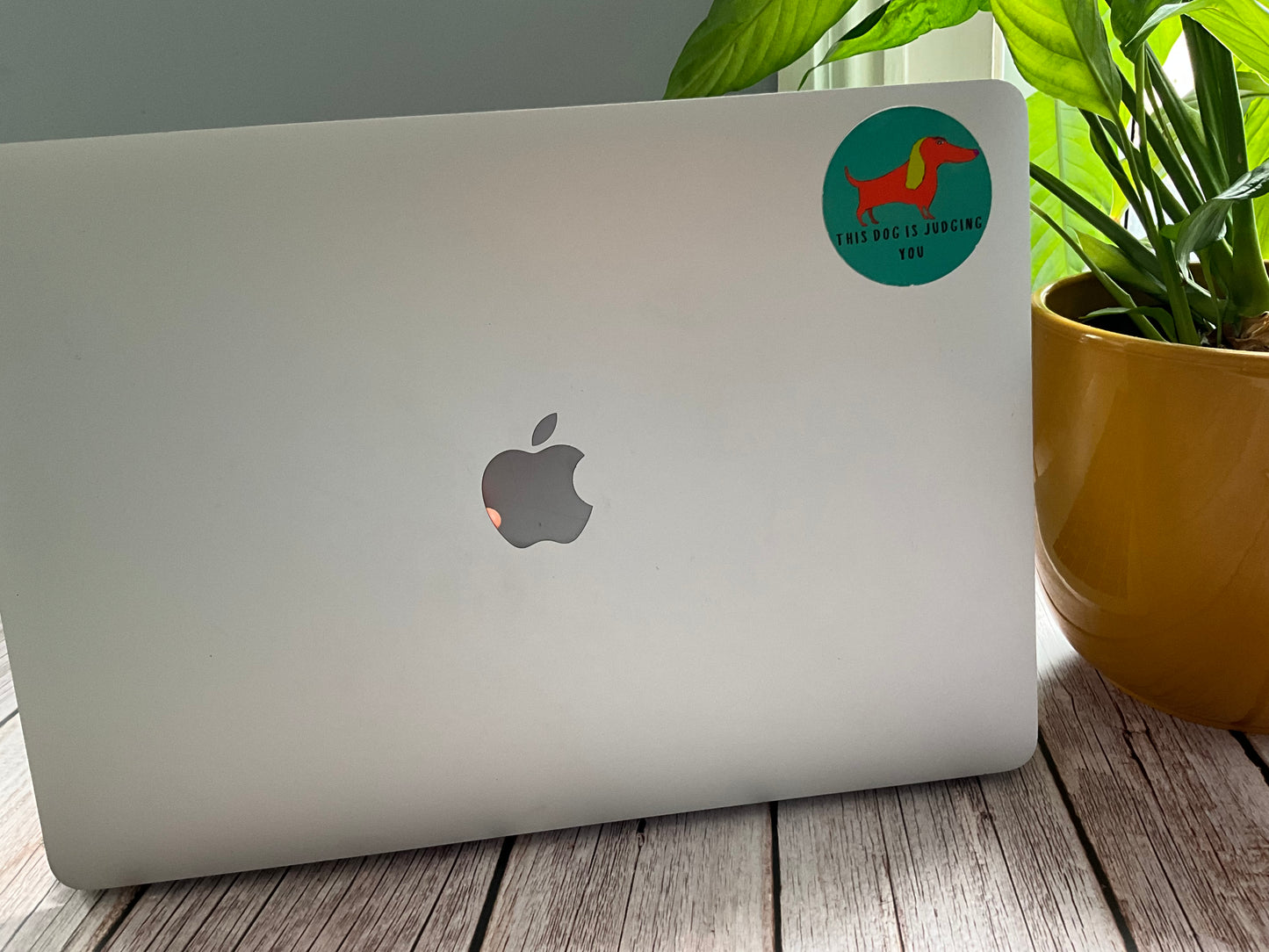Apple laptop with a  dachshund sticker on a wooden surface next to a plant