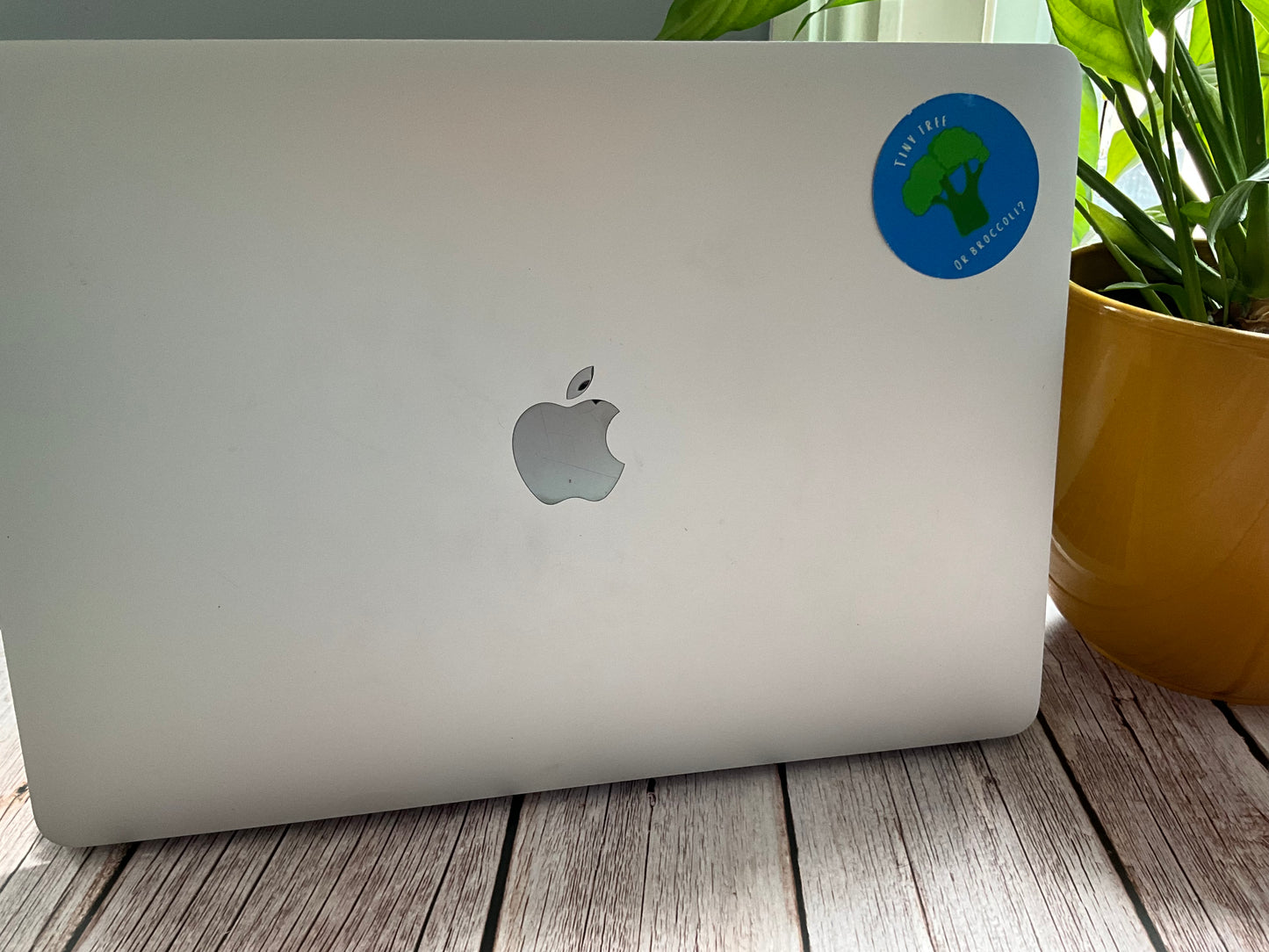 Silver laptop with Apple logo and a blue round vinyl sticker on a wooden surface next to a potted plant