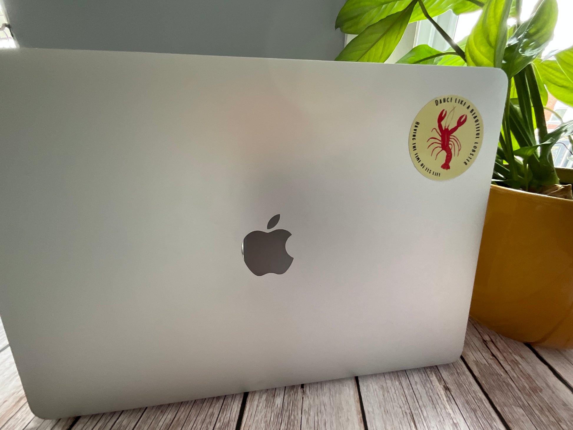 Laptop with a lobster sticker on the back, placed on a wooden surface with a plant in the background.