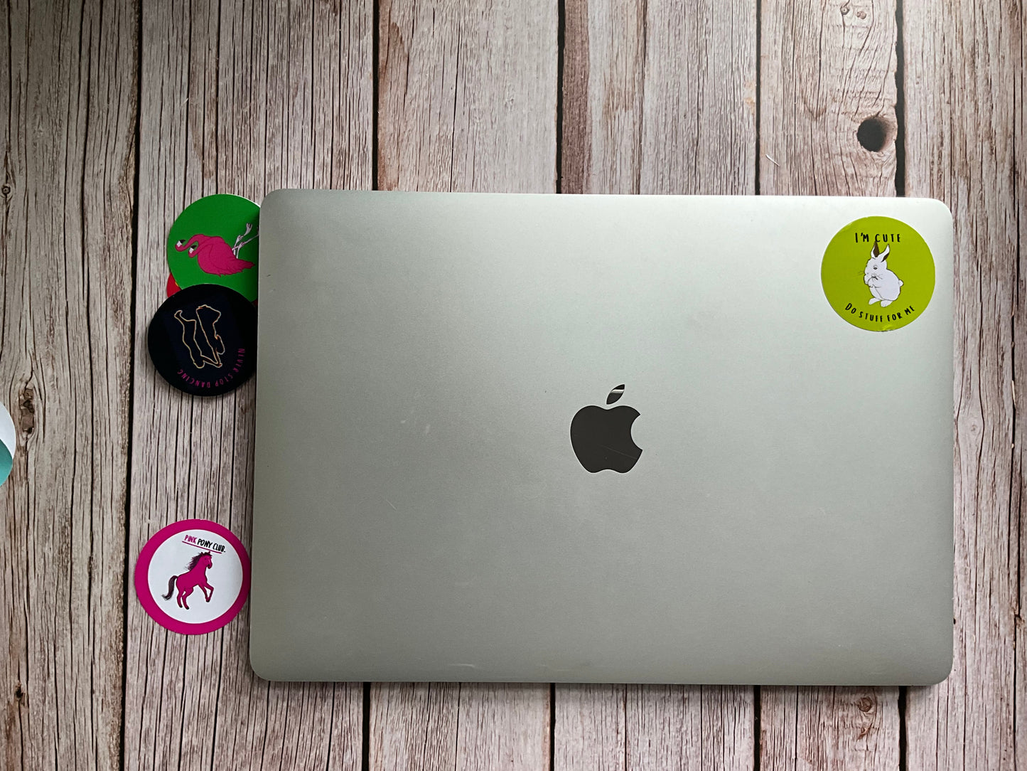 “I’m cute, do stuff for me” adorable funny bunny vinyl sticker