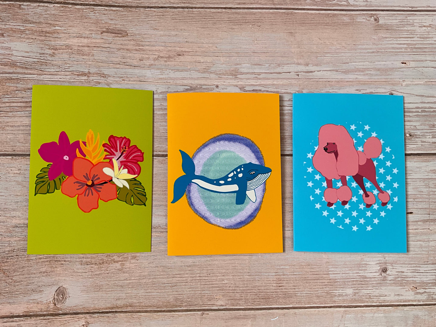 Three colorful greeting cards with floral, dolphin, and poodle designs on a wooden surface.